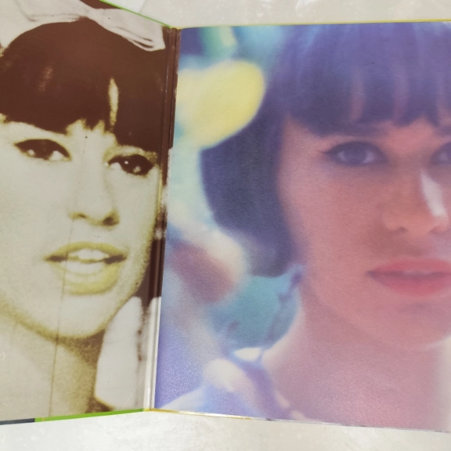 Astrud Gilberto - The Best Of Astrud Gilberto (LP) 이미지
