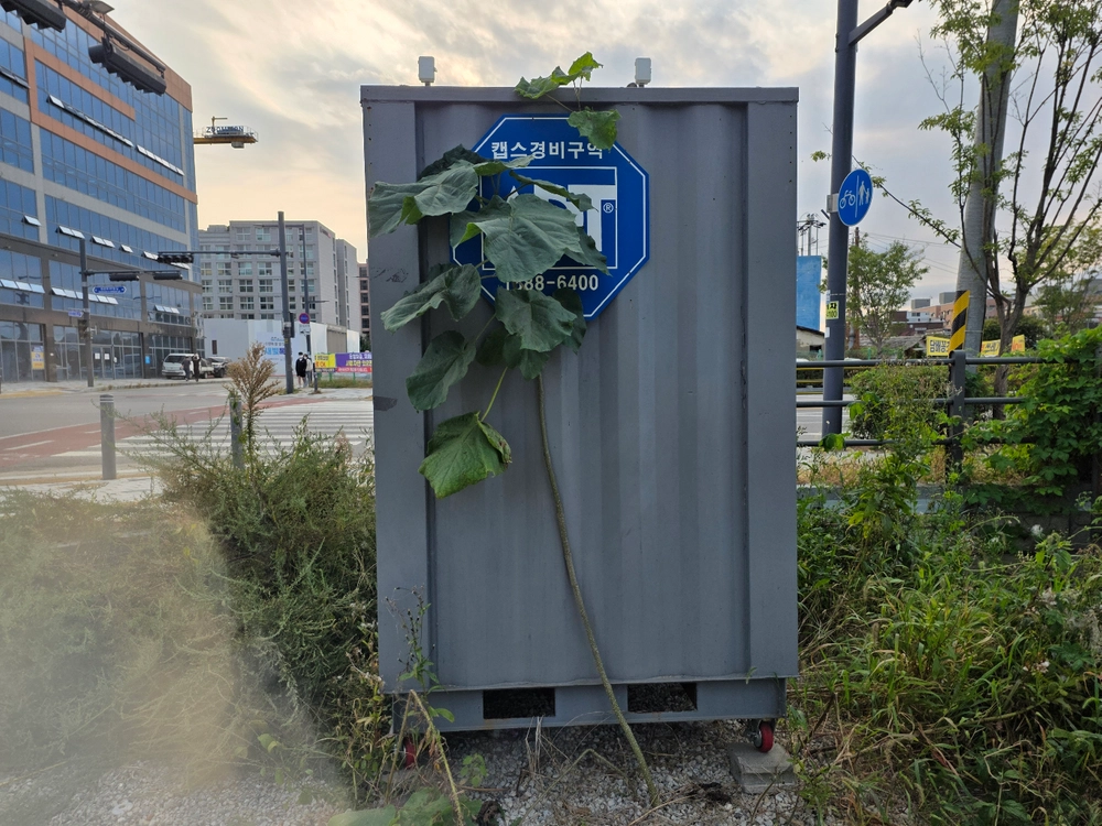 중고 컨테이너 창고/사무실 이미지