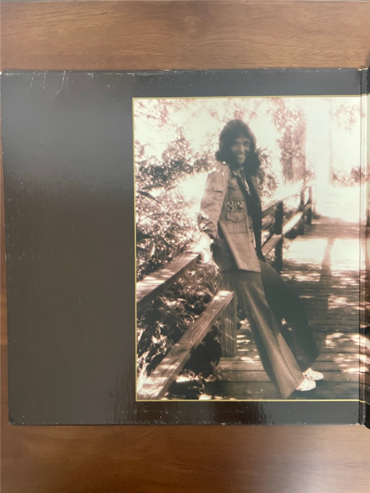 카펜터스 The Singles 19691973 이미지