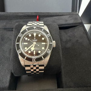 튜더 BLACK BAY 블랙베이 모노크롬 41mm 이미지