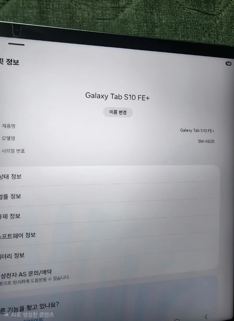 갤럭시 탭 S10 FE+256GB 이미지