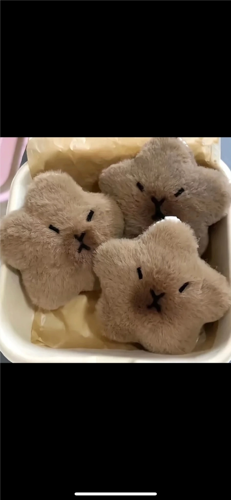 새상품) 몽땅 드림 토끼키링+카피바라 키링 이미지