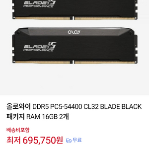 OLOY DDR5 PC5-54400 CL32 6800 BLADE Black 16gb 2개 이미지