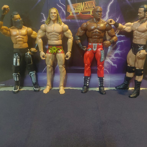 WWE 프로레슬링 피규어 일괄 이미지