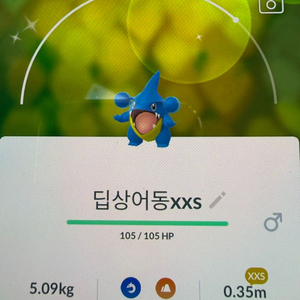 포켓몬고 딥상어동 이로치 xss 이미지