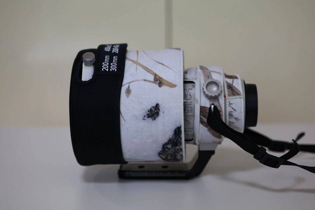 캐논 정품EF 200mm 2.0L IS 신형대포판매합니다 이미지