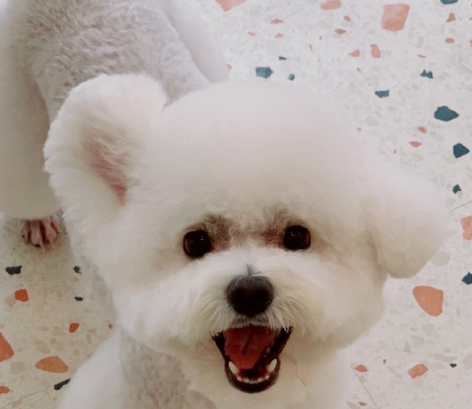 프로필 이미지