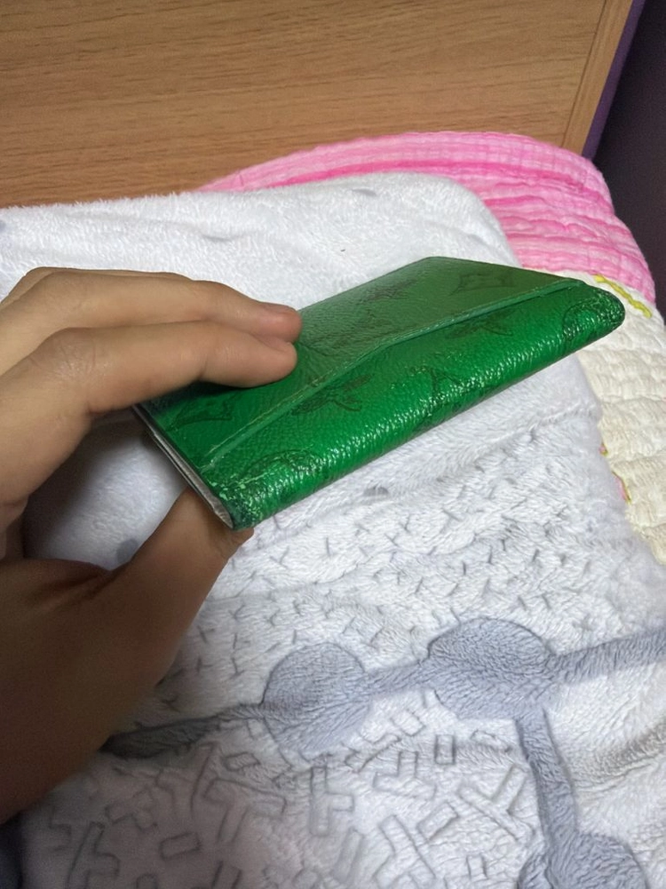 루이비통 에브리데이 오거나이저 이미지