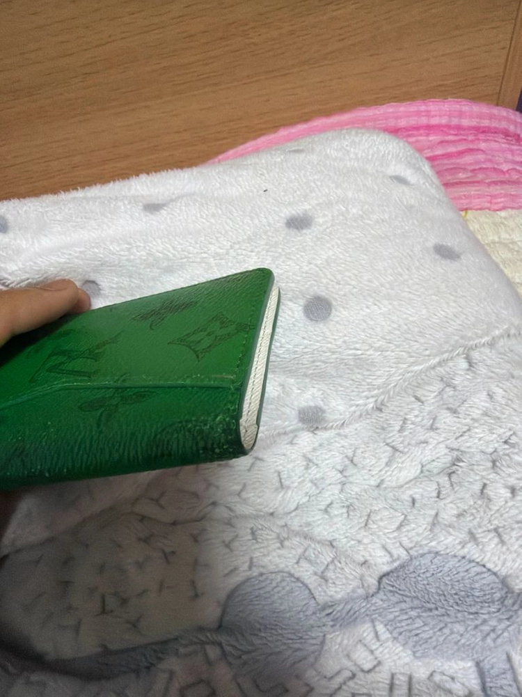 루이비통 에브리데이 오거나이저 이미지