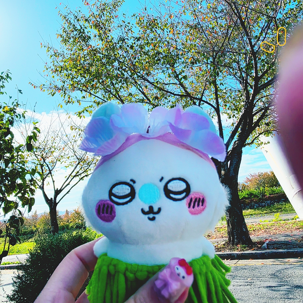 프로필 이미지