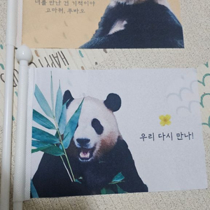 푸바오 유학 깃발 세트 이미지