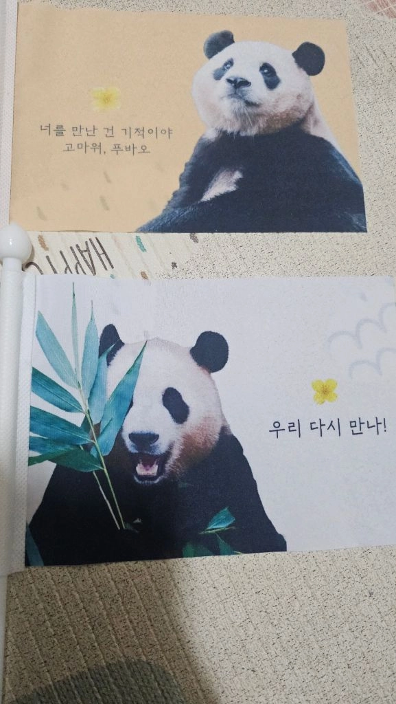 푸바오 유학 깃발 세트 이미지
