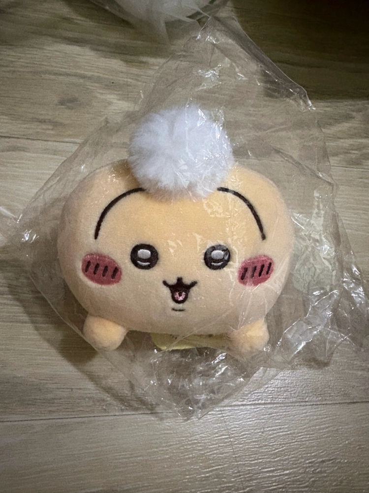치이카와 우사기 누이 이미지