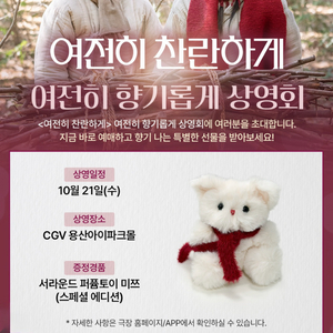 여전히 찬란하게 서라운드 미쯔 인형 이미지