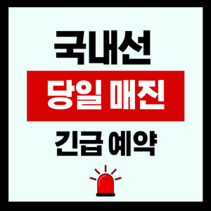 당일 매진 비행기표 예매해드립니다 10/29 10/30 10/31 이미지
