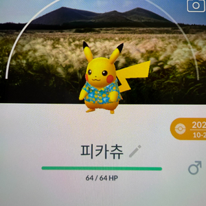 포켓몬고 다양한 로케이션 배경 피카츄 판매 이미지
