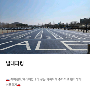 에버랜드 발레파킹 팝니다 이미지