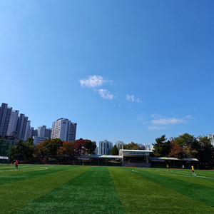 모토로라 엣지40 구합니다 이미지