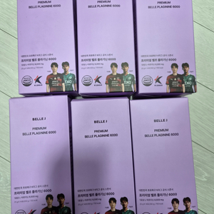 벨르제이 플라기닌 6000 이미지