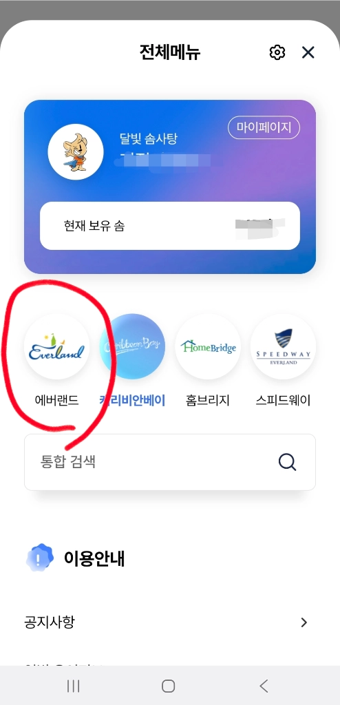10/31(토) 에버랜드 자유이용권 1매 팝니다. 이미지