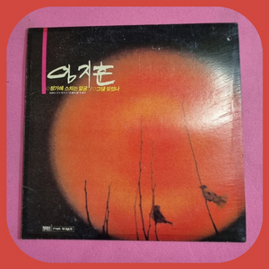 임지훈.창가에스치는얼굴LP.EX+/NM- 이미지