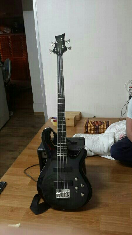 데임 폴앤폴250--1