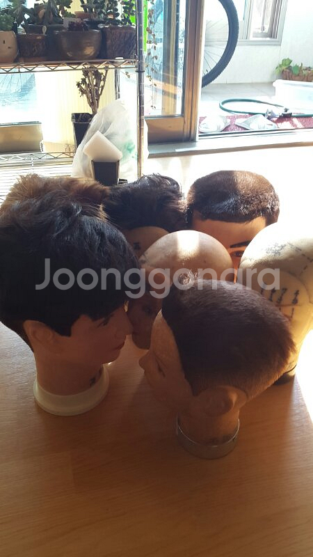 미용연습머리--0