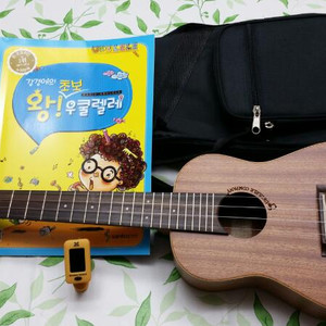 ** 우쿨렐레 **