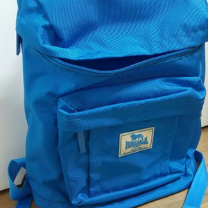 초등학생 현장학습 가방