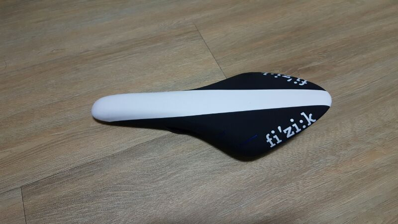 피직 아리오네r5 이미지