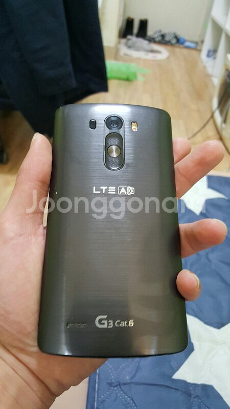 Skt)G3 cat.6 블랙--4