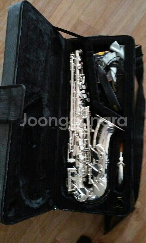알토 색소폰--2