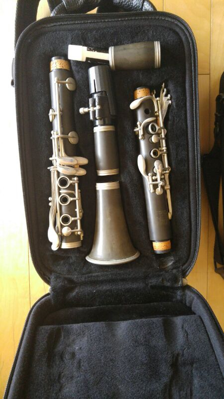 클라리넷 리드 이미지