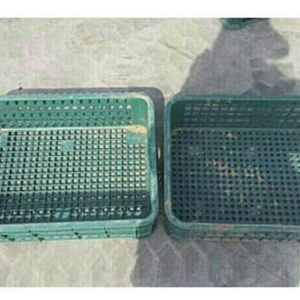 플라스틱 계육박스,빵상자 삽니다