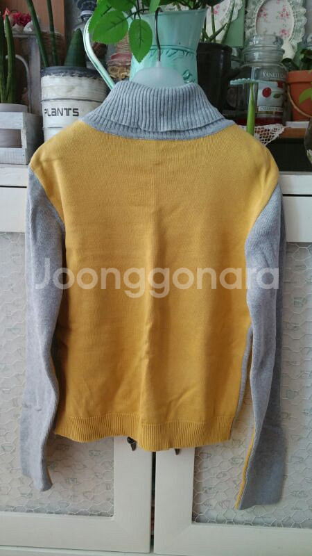 목티랑 여러가지 무료--1