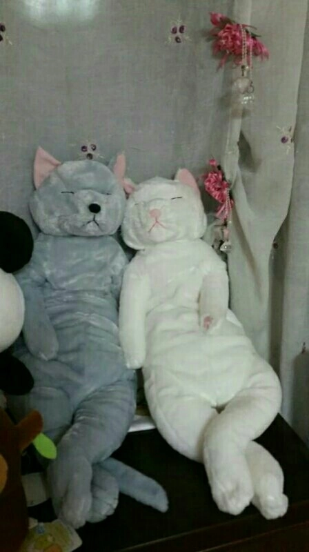 한정판 스밋코쿠라시,대형FANS고양이와리락쿠마인형 이미지