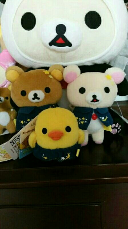 한정판 스밋코쿠라시,대형FANS고양이와리락쿠마인형 이미지