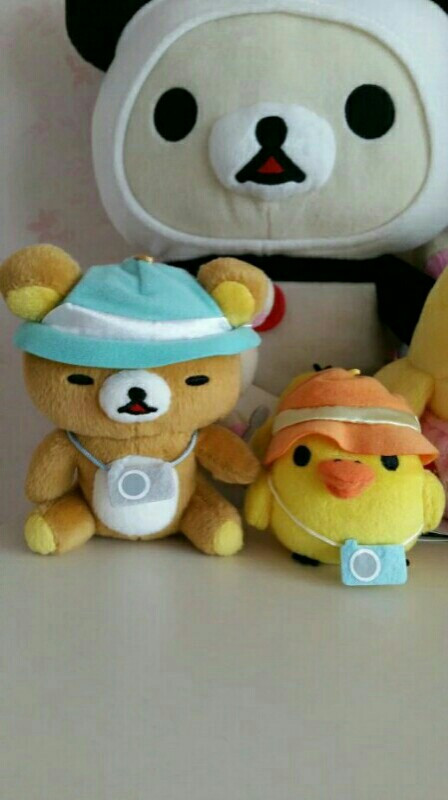 한정판 스밋코쿠라시,대형FANS고양이와리락쿠마인형 이미지