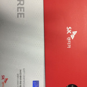 sk렌트카 중형24시 이용권