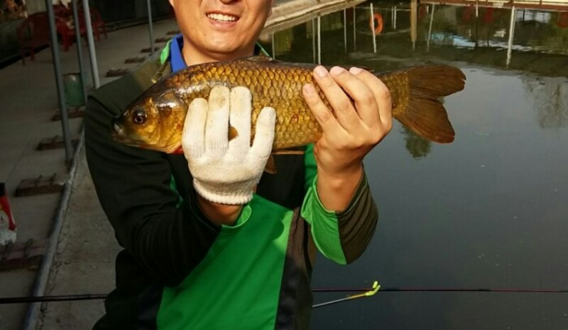 바낚스 민물대 6.1미터짜리 팔아요--2