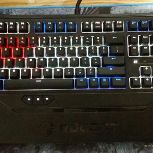 Roccat ryos mk fx Rgb 갈축 기계