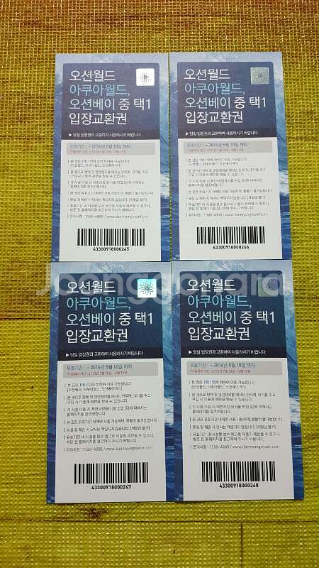 대명리조트 워터파크 입장권 4장 8만원--0