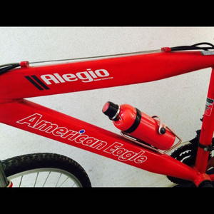 아메리칸 이글 mtb 자전거