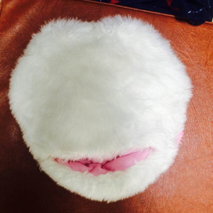 에뛰드 고양이 발난로