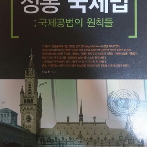 정통국제법