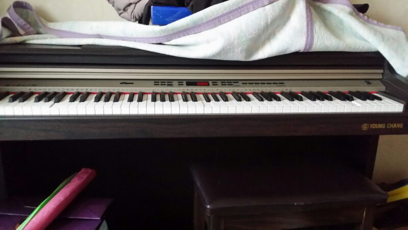 영창 디지털피아노  판매--1