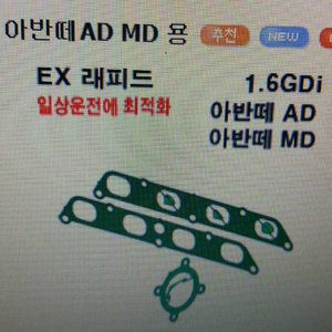 아반테md  EX 레피드  틴펠스