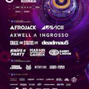 umf 2016 일반 3일권 1장 17만원. 2장