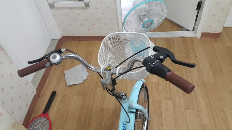 BI-MAX 접이식 자전거 20인치 이미지