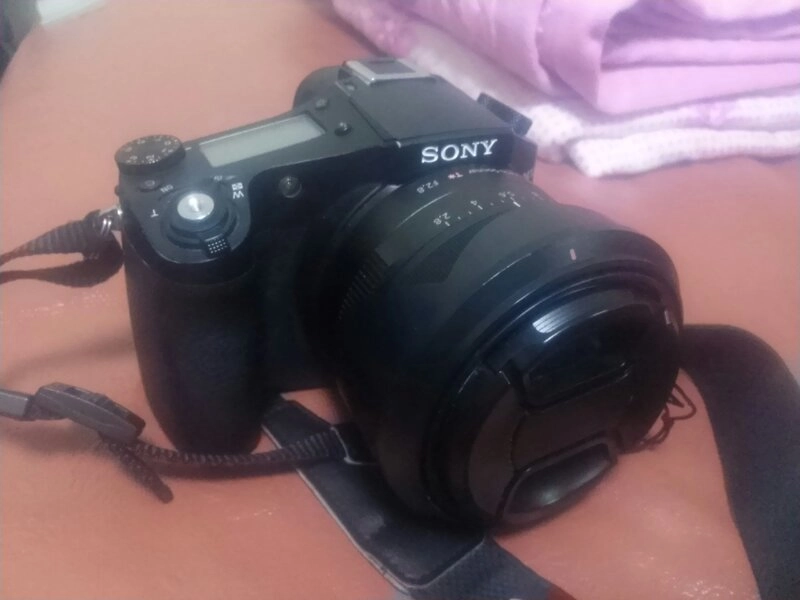 소니 rx10 카메라 이미지